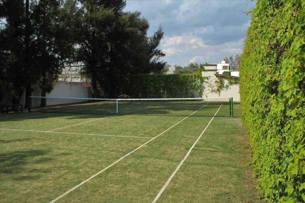 Elegante Habitacion Ideal Para Tu Estancia. San Miguel de Allende Dış mekan fotoğraf